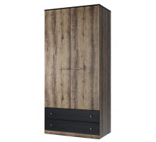 Двухстворчатый шкаф для одежды Джаггер 2DG2S