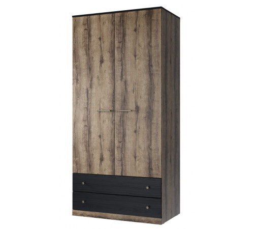 Двухстворчатый шкаф для одежды Джаггер 2DG2S